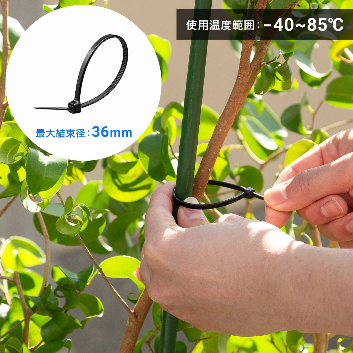 Cable ties (outdoor use, weather resistant, 150mm length, 3.6mm width, 50 pieces) CA-622UV