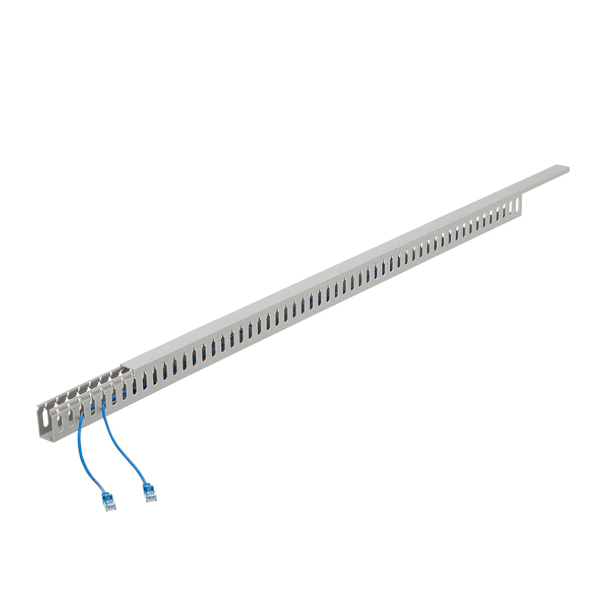 Wiring duct (W25 x H45 x D1000mm) CA-D30L
