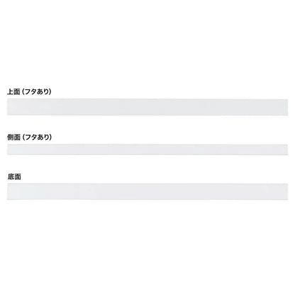 Wiring duct (60x40x1000mm, white) CA-KK60W