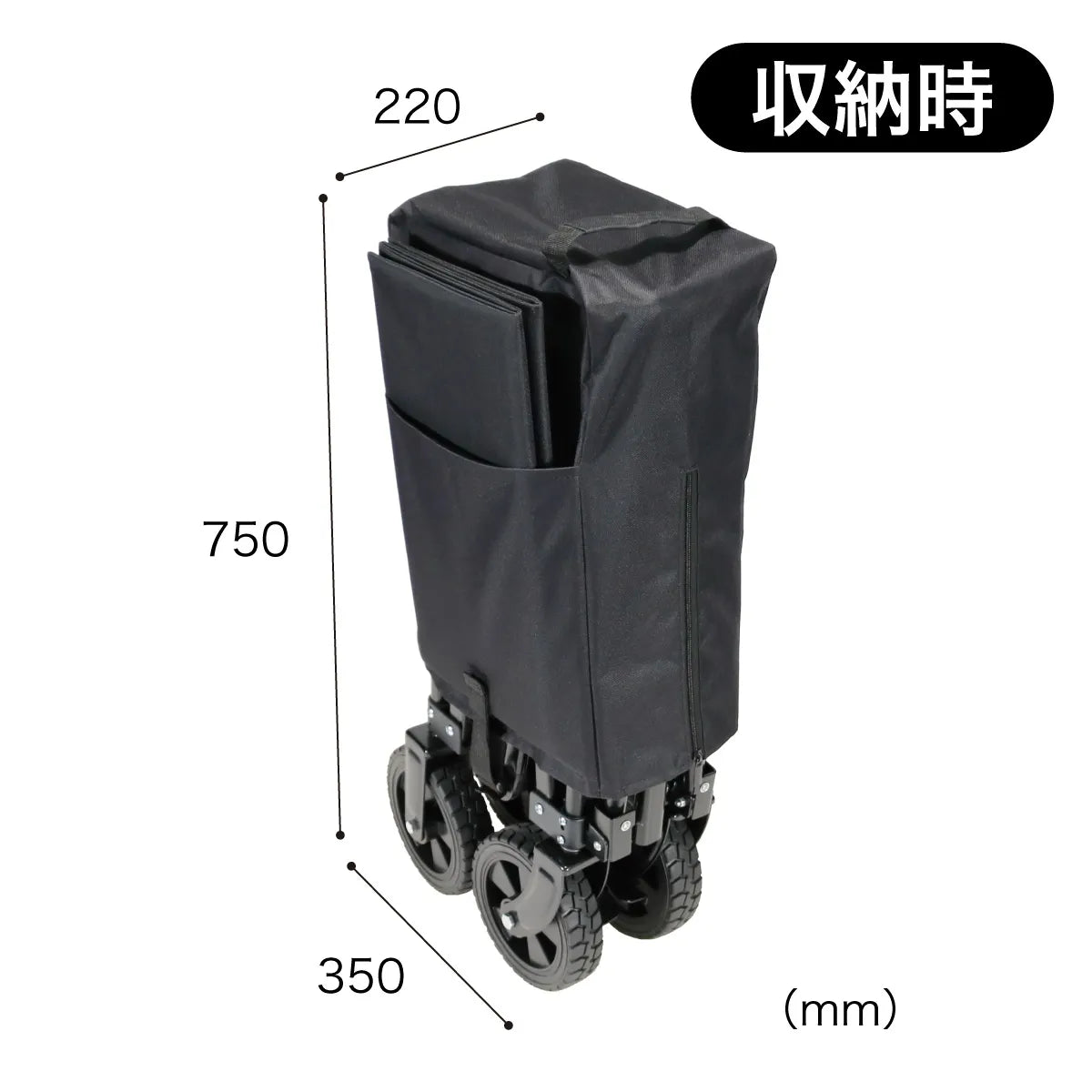 Carry Wagon CW-110BK