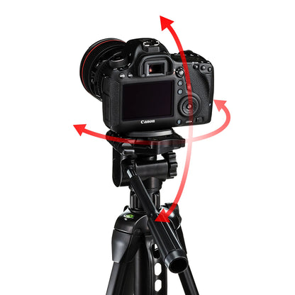 Multi-stand (3-tier type) DG-CAM21N
