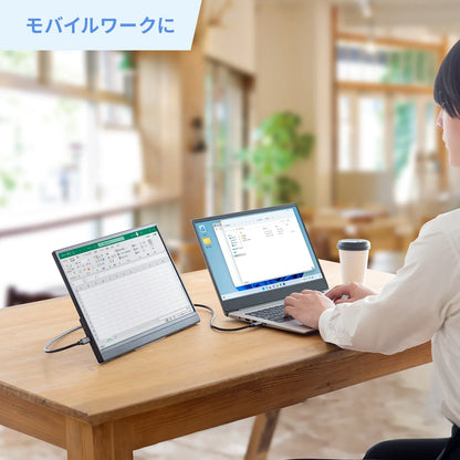 Touch-enabled mobile monitor DP-06