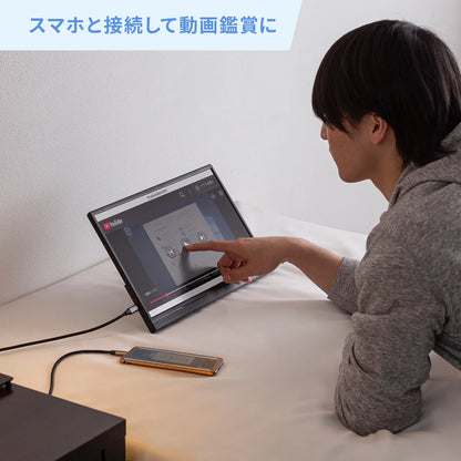 Touch-enabled mobile monitor DP-06
