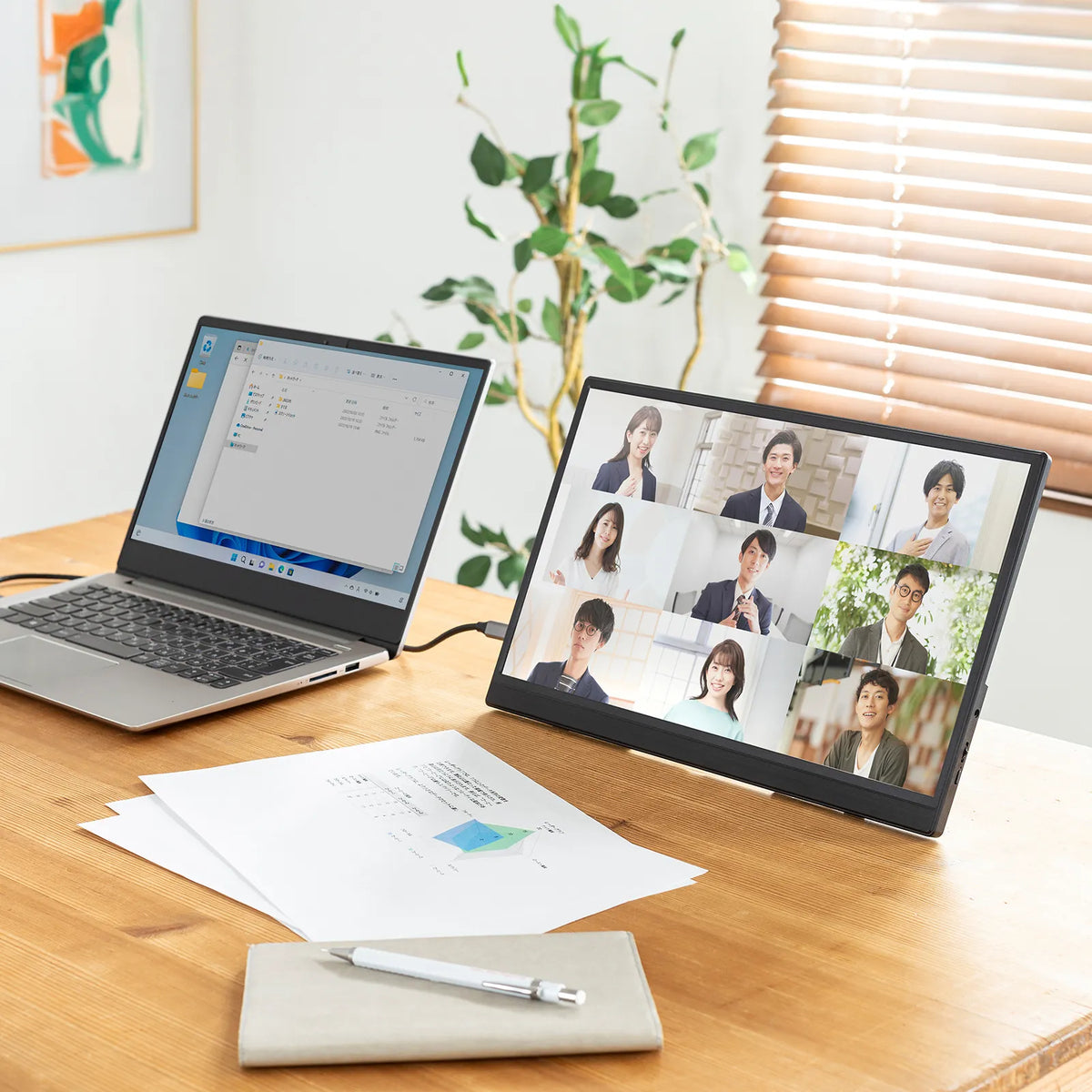 Mobile Monitor DP-07