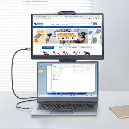 Mobile Monitor DP-07