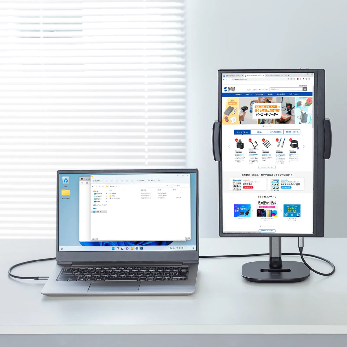 Mobile Monitor DP-07