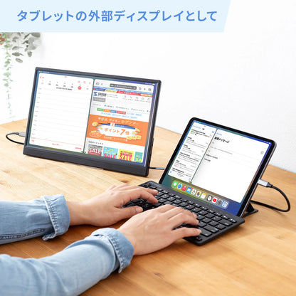 Mobile Monitor DP-07