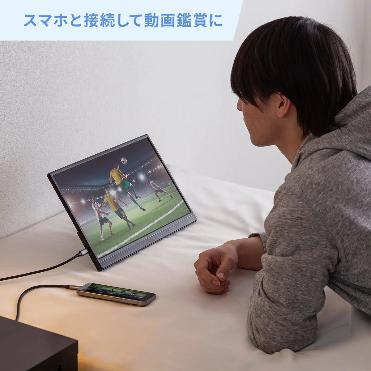 Mobile Monitor DP-07
