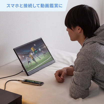 Mobile Monitor DP-07