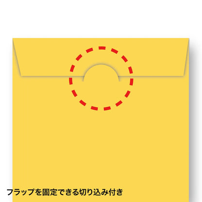 DVD/CD Paper Sleeve Case FCD-PS100MXN
