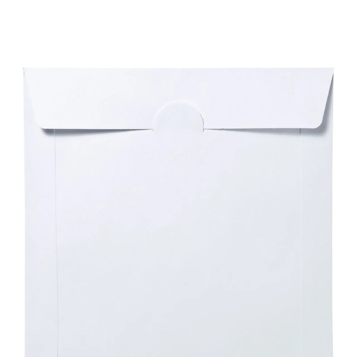 DVD/CD Paper Sleeve Cases (Windowless Type, 100 Pieces) FCD-PS100NWW