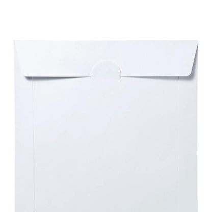 DVD/CD Paper Sleeve Cases (Windowless Type, 100 Pieces) FCD-PS100NWW