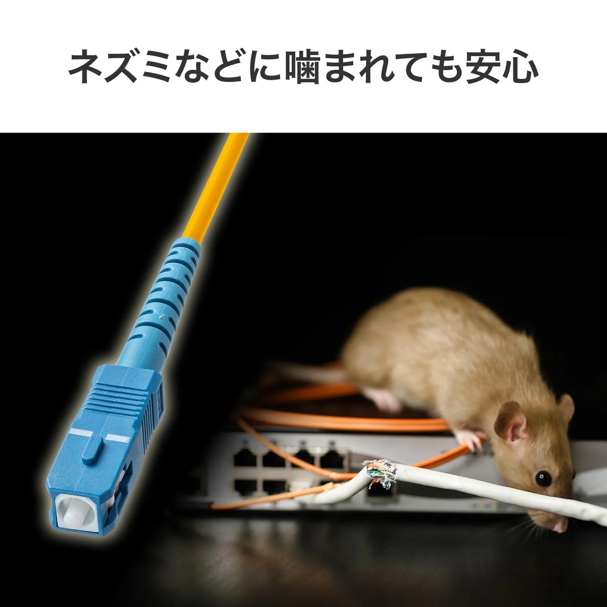 アーマード1芯光ファイバケーブル（シングルモード、SC-SC、１m） HKB-AM1SCSC1-01Y