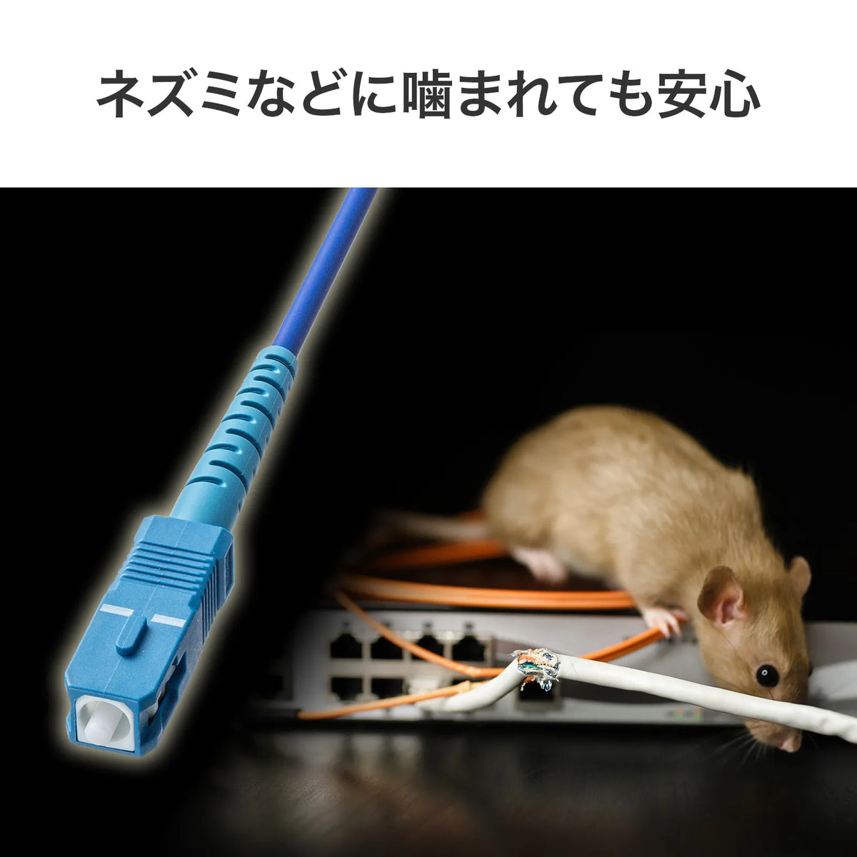 Armored single-core fiber optic cable (single mode, SC-SC, 1m) HKB-AM1SCSC1-01