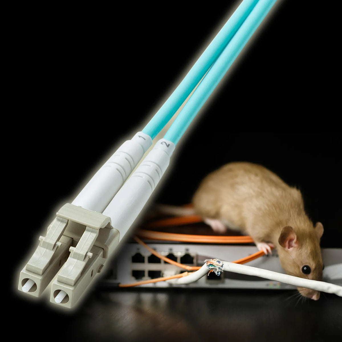 Reinforced spectacle-type fiber optic cable (multi OM3, LC x 2 - SC x 2, 10m) HKB-HOM3LCSC-10