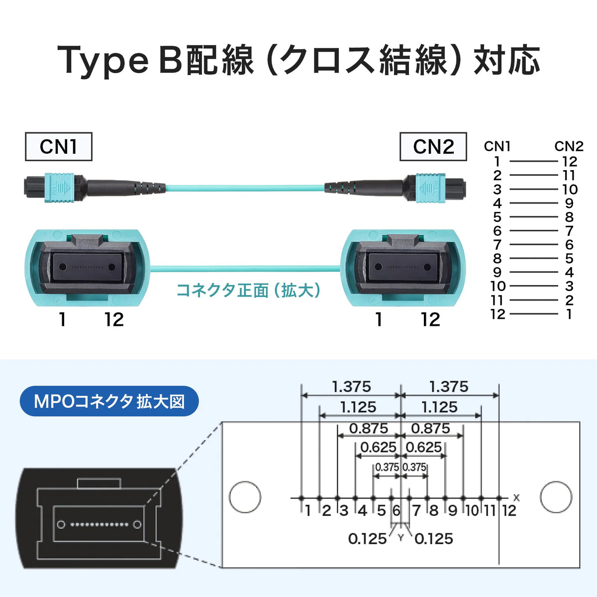 MPO光ファイバケーブル(OM3、12芯、B配線、2m) HKB-MPO12M3B-02
