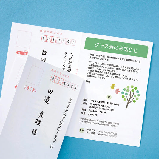 Inkjet return postcard (20 sheets, matte finish) JP-HKDP20N2