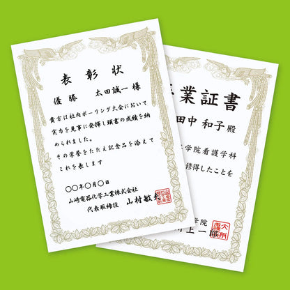 Inkjet-compatible certificate printer (A4, portrait orientation) JP-SHA4TN2