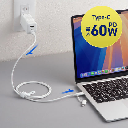 USB 2.0 Type-C Cable (with Lightning adapter, white) KB-IPLTCCP6010W