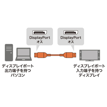 DisplayPort cable 1m (Ver1.4) KC-DP1410