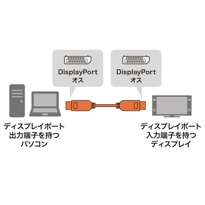 DisplayPort 1.4 ACTIVE Cable KC-DP14A100