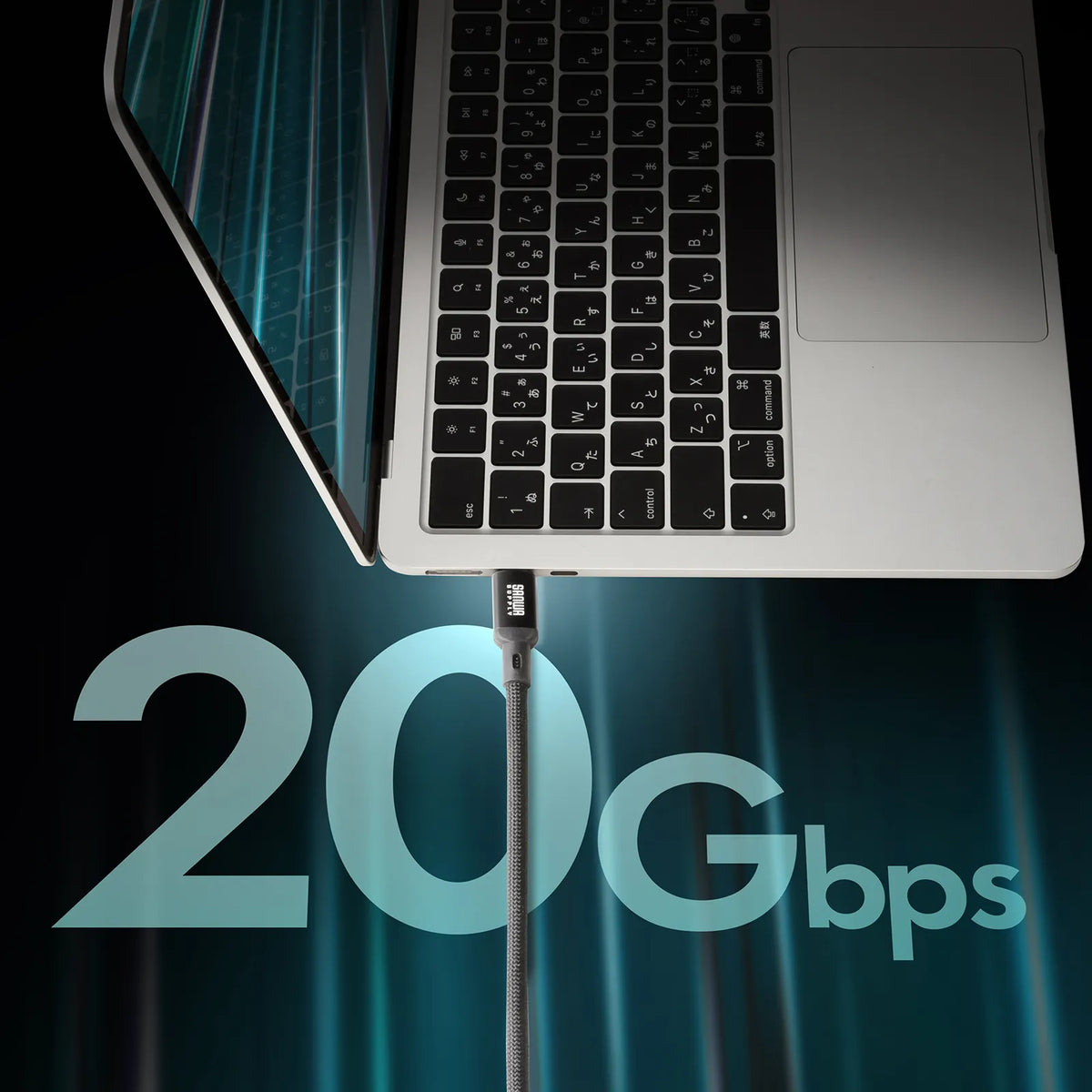 USB 20Gbps Type-C Cable (PD60W, 3m) KU-20GCCP6030