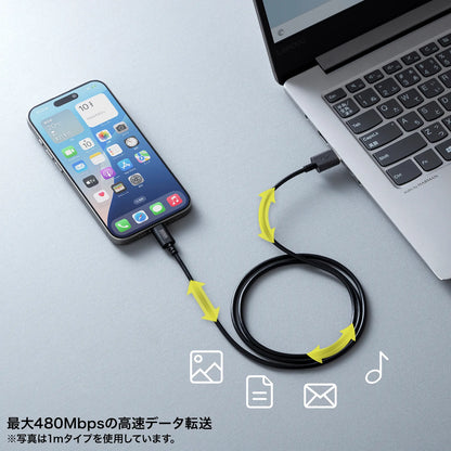 USB 2.0 Type-C Cable (C-A, 3m, Black) KU-CA30BK