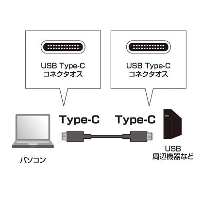 USB 3.1 Gen2 Type-C Cable KU31-CCP310