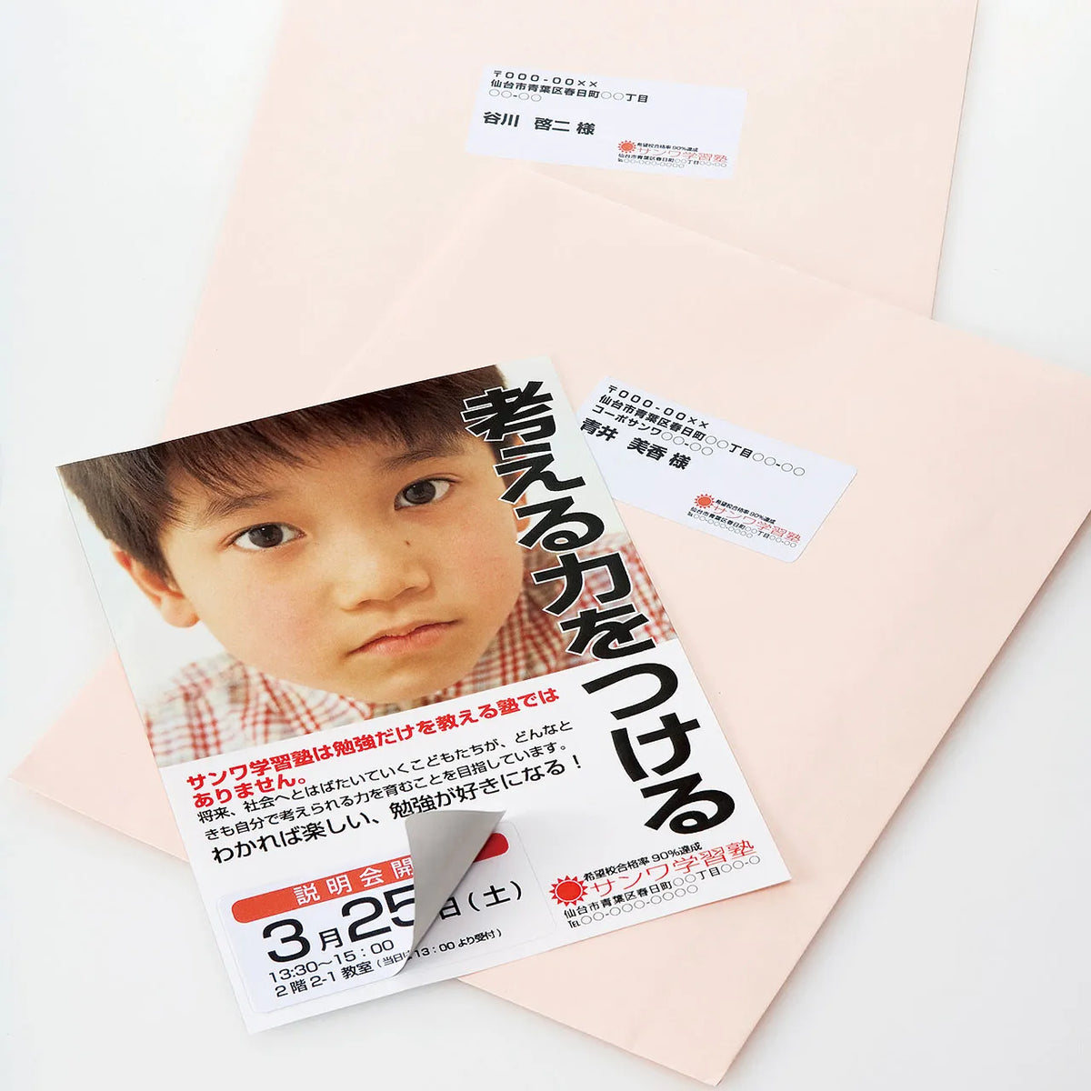 Opaque multi-label (12 labels per sheet) LB-EM25