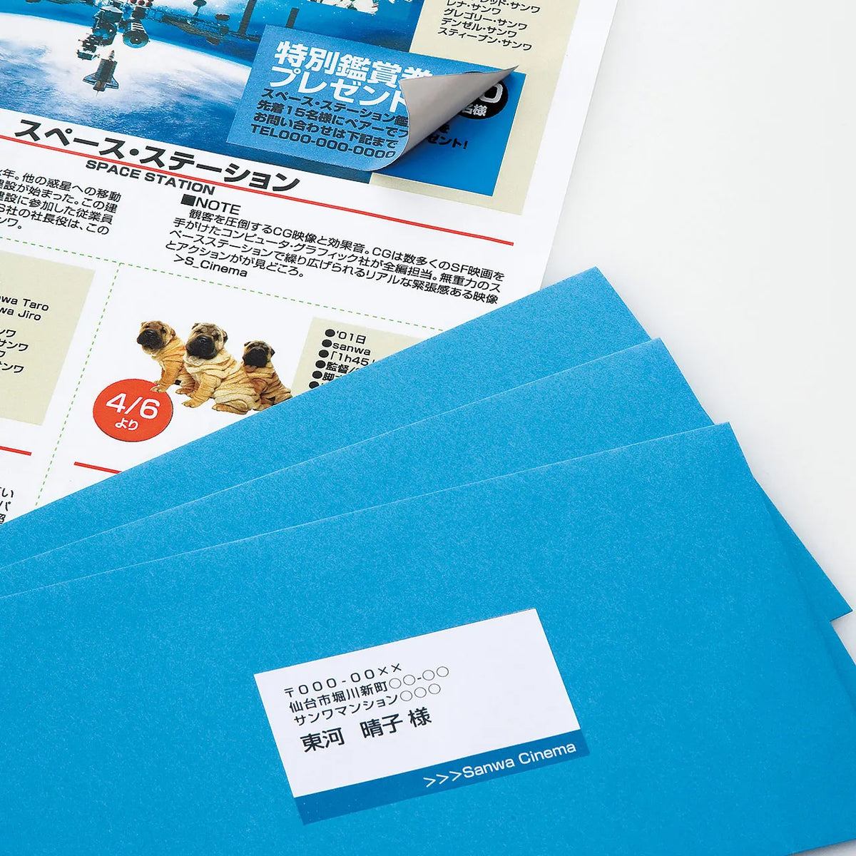 Opaque multi-label (21 labels per sheet) LB-EM26