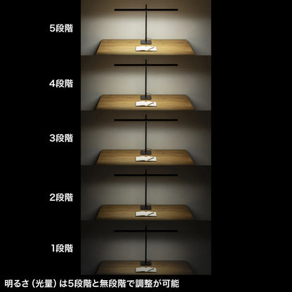 LED Desk Lamp with Flexible Arm LED-DESK3BK