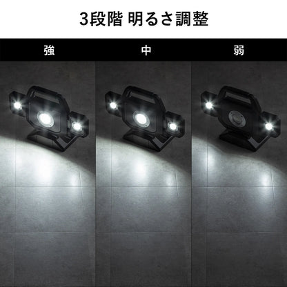 High-brightness LED floodlight (rechargeable) LED-FL1BK