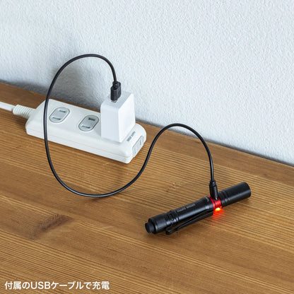 ペン型ライト（ショートタイプ） LED-PEN2BK