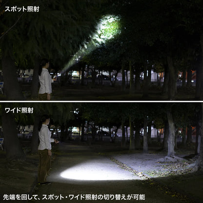ペン型ライト（ショートタイプ） LED-PEN2BK