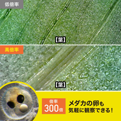 200万画素(フルHD対応)USB顕微鏡 LPE-08BK
