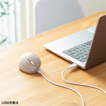 静音Bluetooth小型エルゴノミクスマウス（充電式・5ボタン） MA-EBBS522BG
