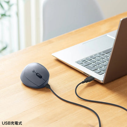Silent Wireless Compact Ergonomic Mouse (Rechargeable, 5 Buttons) MA-EWBS522BK