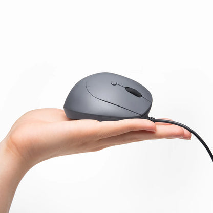 Antibacterial Silent Wired Ergonomic Mouse MA-EYBS522BK