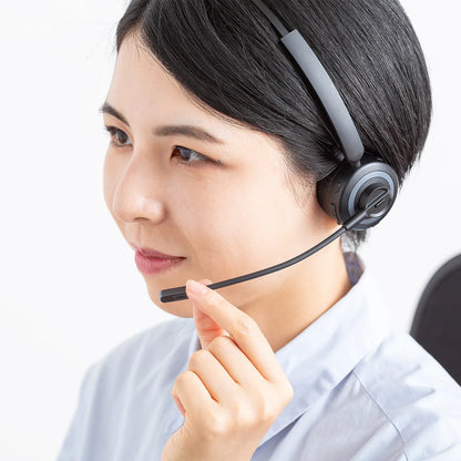 Bluetooth headset (noise cancellation function, with charging cradle) MM-BTMH66BK