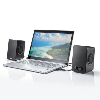 USB-powered speaker (with passive radiator) MM-SPL22UBK