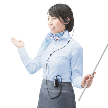 Wireless Guide System MM-WGS4