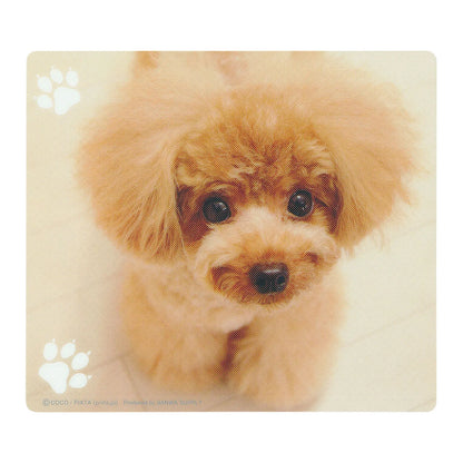 Animal Mousepad (Teacup Poodle) MPD-215B