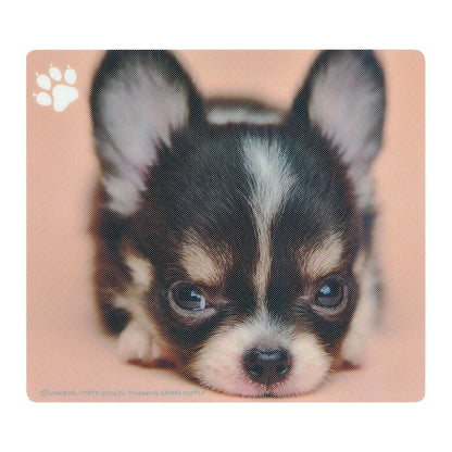 Animal Mousepad (Chihuahua) MPD-215C