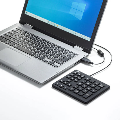 Waterproof and dustproof numeric keypad NT-BS1BK