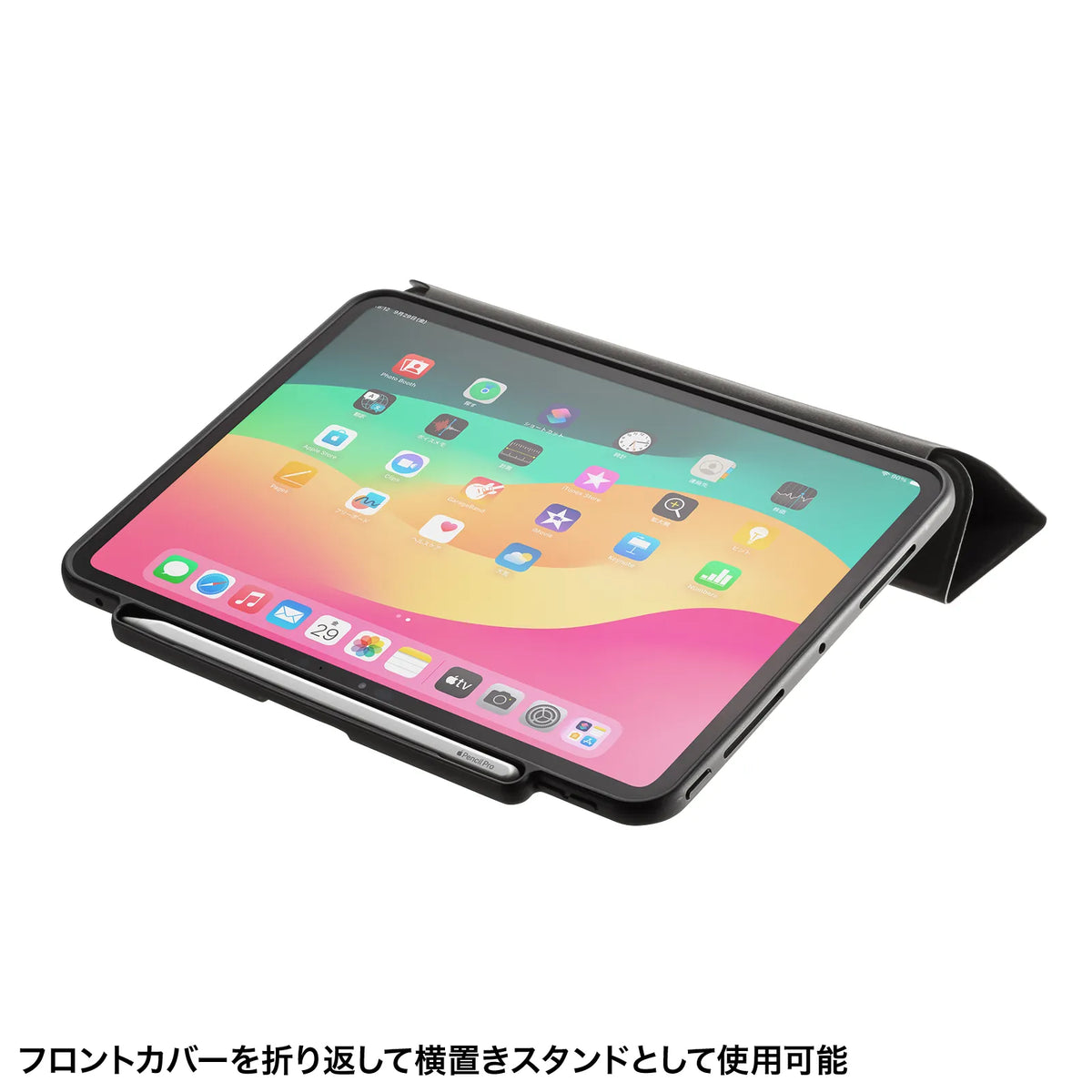 iPad Pro 11インチ（M4/2024）用タッチペン収納ポケット付きケース PDA-IPAD1714BK3
