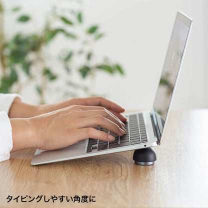 Laptop stand (flat type, compact) PDA-STN42BK