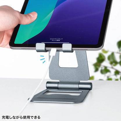 Tablet stand (2 joints) PDA-STN82GY