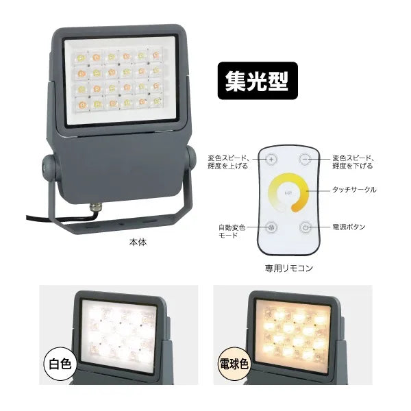 LED Projection Light (Floodlight, Focused Type) PDS-C02-40WL