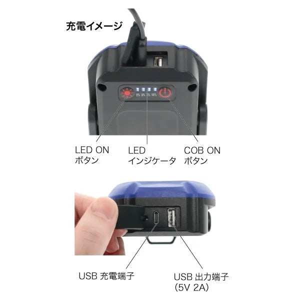 LED Palandle RX (Rechargeable, Twin Eye Type) PLRX-8M