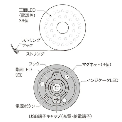 Multifunction Light PLRX-MF01
